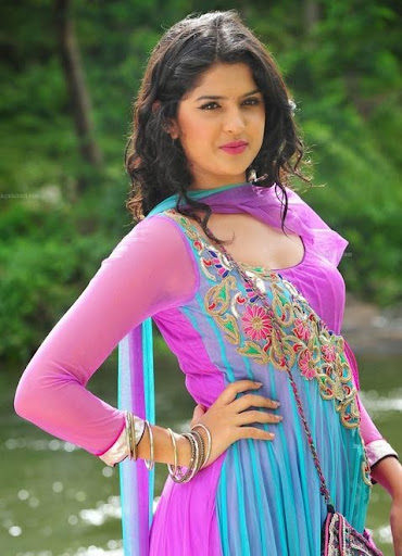 Deeksha Seth Photos