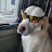 dercas79 avatar image