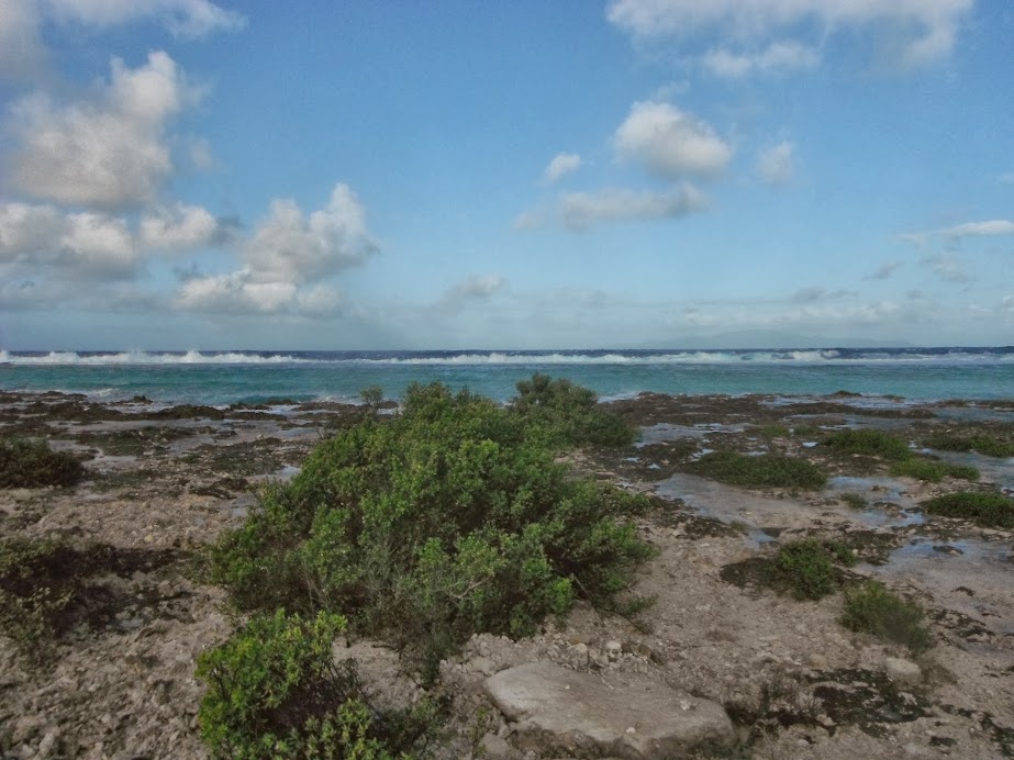 Bora Bora, el paraiso que soñe!!!! - Blogs of French Polynesia - Bora Bora el paraiso que soñe (27)