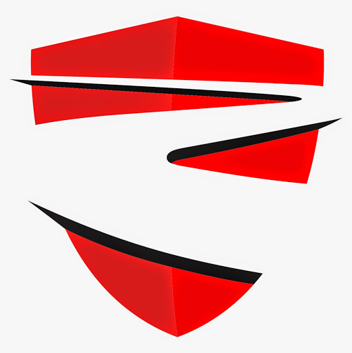 Dream Racing logo