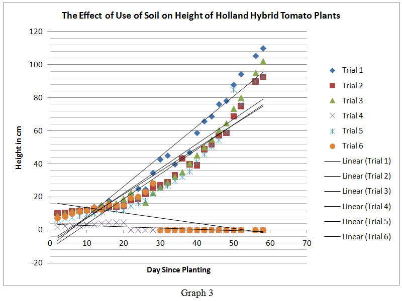 Tomato Plant Height Chart