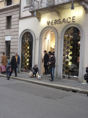 Собака Versace #2