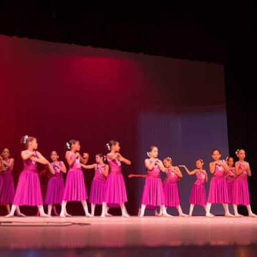 Abby Lee Dance Company