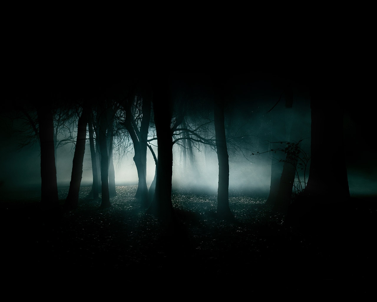 Dark-Forest-35836-240944.jpeg