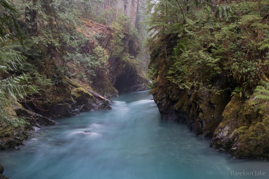 Quinault River