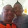 Jr Delagarza Jr Delagarza's profile photo