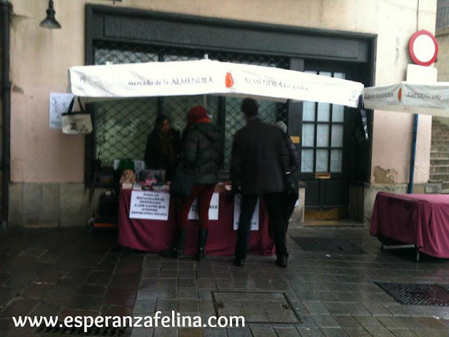 Esperanza Felina en "El Mercado de La Almendra" en Vitoria - Página 18 IMG_6761