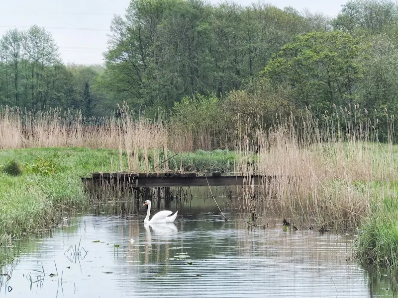 Dyke on meadows near Geldeston Locks