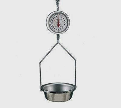  Detecto MCS-20F Hanging Fish  &  Vegetable Scale w/ 14.5-in Stainless Pan, 20-lb., Each