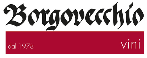 Borgovecchio SA logo