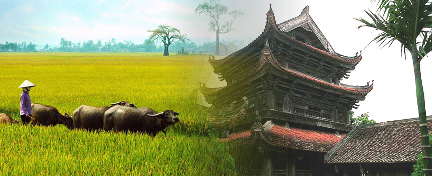 Những bài thơ tình yêu viết về Thái Bình quê hương Những bài thơ tình yêu viết về Thái Bình quê hương
