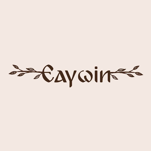 Eaywin logo