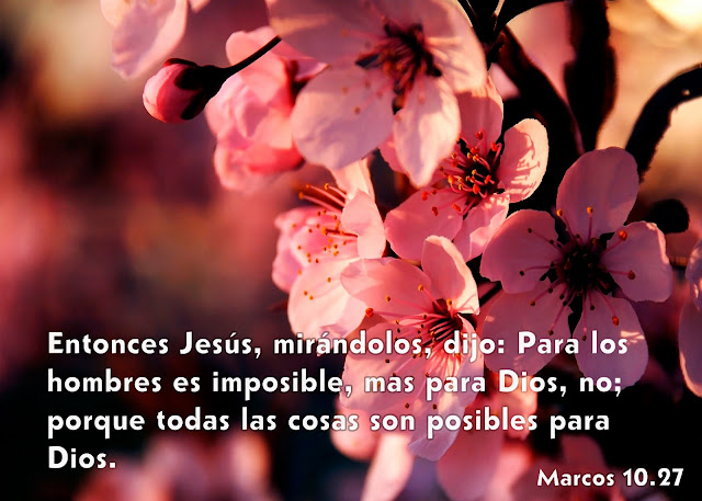 Marcos 10.27