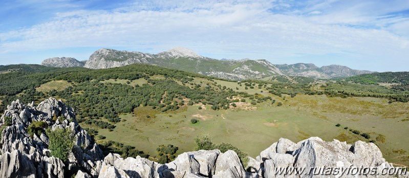 Subida a los Cerros Patagalana y Lajares