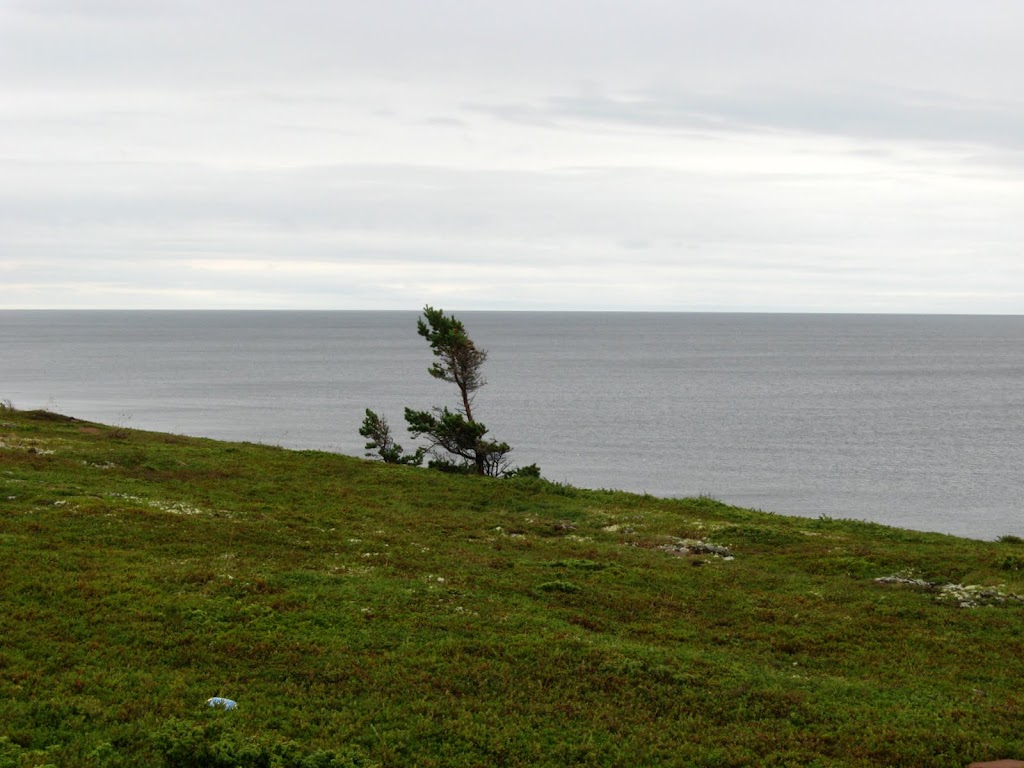 2012_08_24_13_19_40.JPG