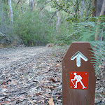 Six Foot Track arrow post below Nellies Glen (411428)