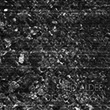 Red Alder - Dissociation