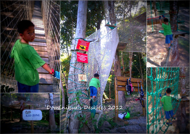 Doggie boy trying out Extreme Adventure course in Phuket, Thailand in Dec 2012