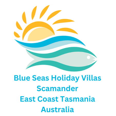 Blue Seas Holiday Villas