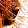 Lorrie Bracaloni Lorrie Bracaloni's profile photo