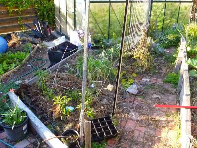 leeks, peppers in front, dead squash at end of trellis.