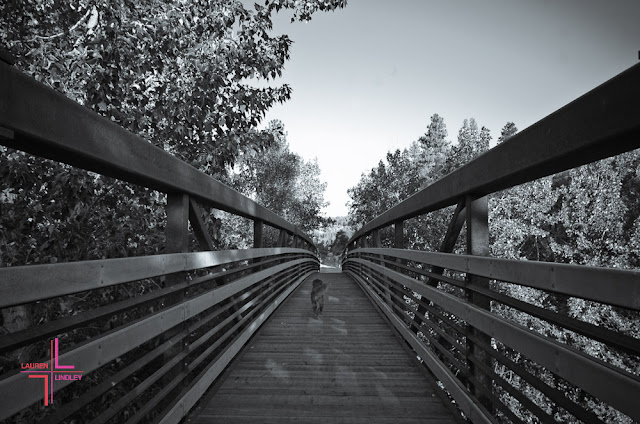 Bizz Johnson Trail