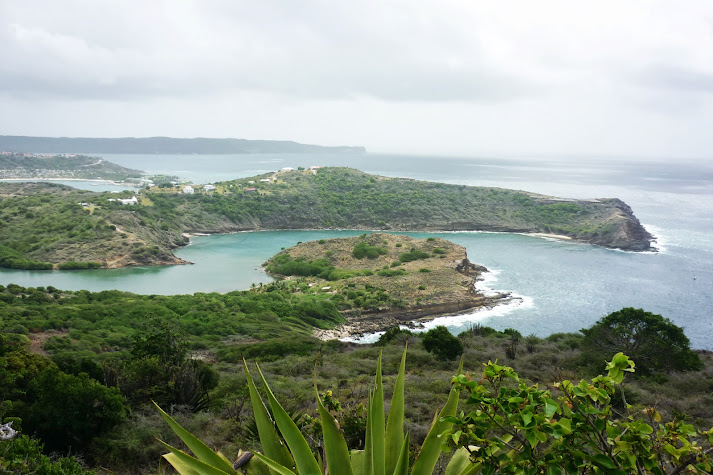 Южные Карибы в круизе с Jewel of the Seas + Пуэрто-Рико
