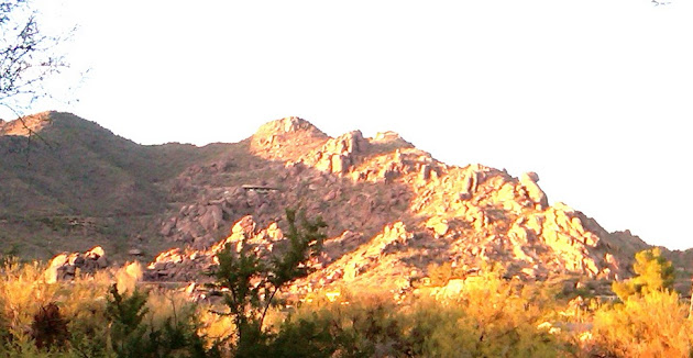 Cover photo
