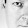 Mikael Wiman Mikael Wiman's profile photo