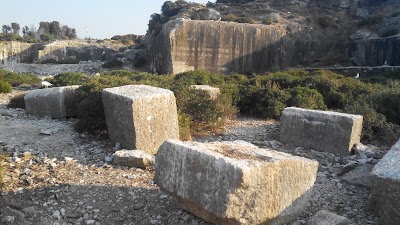 Photos of Otok Sveti Jerolim