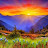 Tammy Harwood avatar image