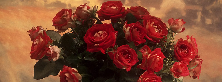 Hoa hồng là biểu tượng cho sự lãng mạn và tình yêu. Hãy cùng ngắm nhìn hình ảnh về hoa hồng để trầm mình trong không khí lãng mạn và cảm nhận sự đẹp đẽ của những cánh hoa tinh tế và quyến rũ.