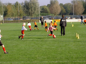 PICT8011.JPG