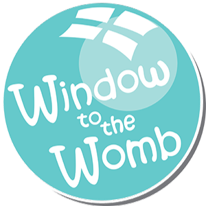 Window to the Womb Liverpool logo