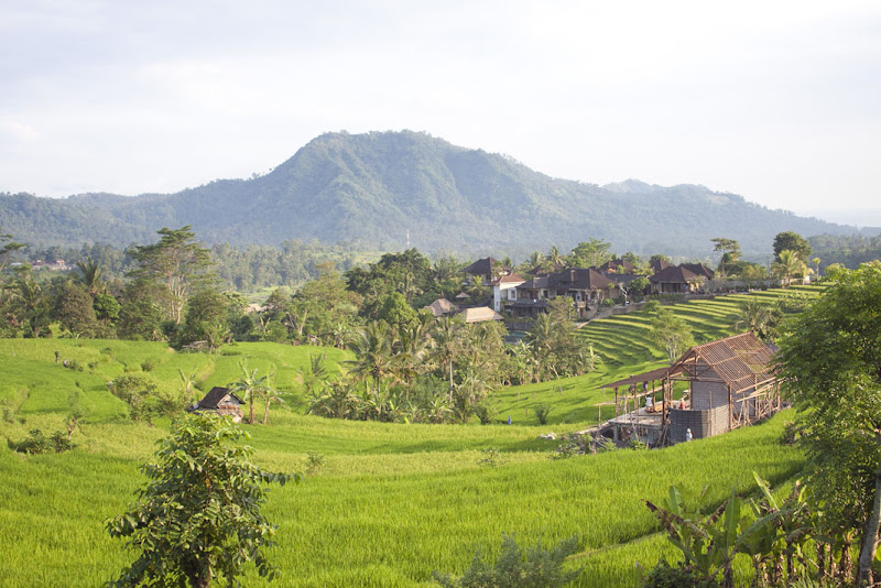 Sidemen_Bali