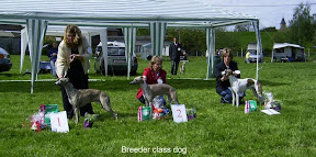 breederclassdog.jpg
