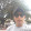 Dante Salas Huañac Dante Salas Huañac's profile photo