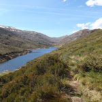 Guthega Pondage looking along Blue Cow creek arm (89497)