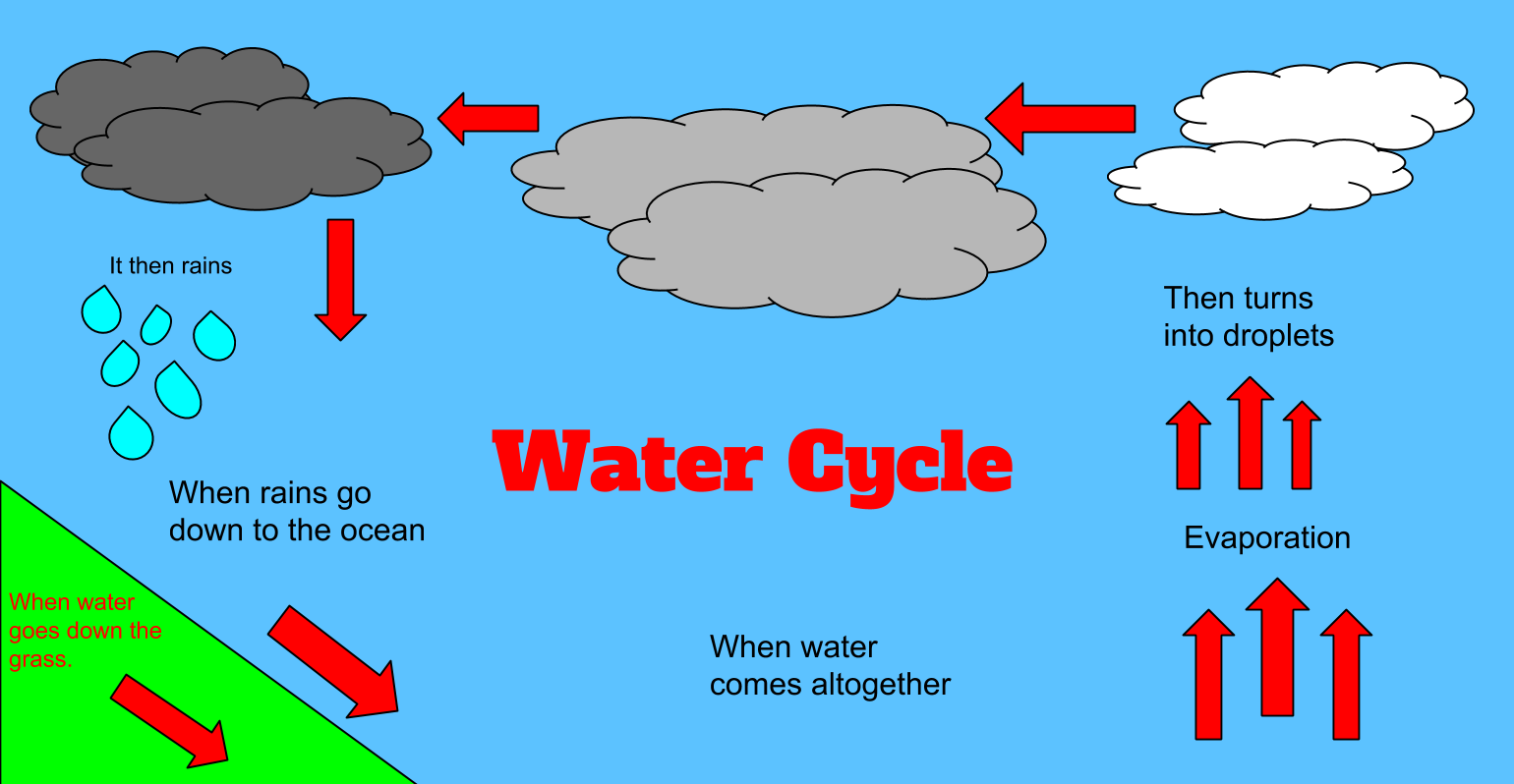 Water Cycle Image (1).png