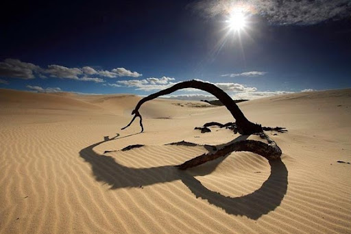 15 Amazing 

Examples of Desert Landscape Photography 