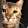 SKY TOMO SKY TOMO's profile photo