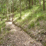 Clear track on north slope of Watagan Creek valley (363314)