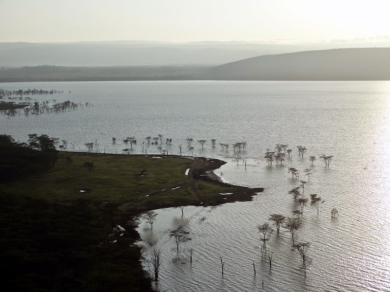 Заметки о животных. Путешествие по Кении и Танзании.