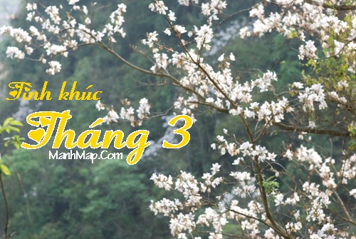 Chùm thơ tháng 3, tình khúc tháng ba lãng mạn nhất thơ tình tháng ba