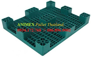 Pallet nhựa mặt bít lưu kho nhập khẩu Pallet nhựa mặt bít lưu kho nhập khẩu