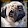 Patrick Comeskey Patrick Comeskey's profile photo
