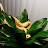 Martine Angell avatar image