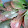 nanaco suga nanaco suga's profile photo
