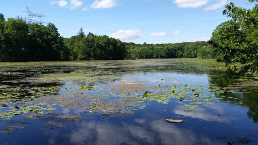 Teatown Lake Reservation