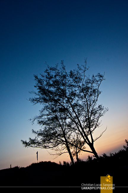 Early Evening at the Paoay Sand Dunes